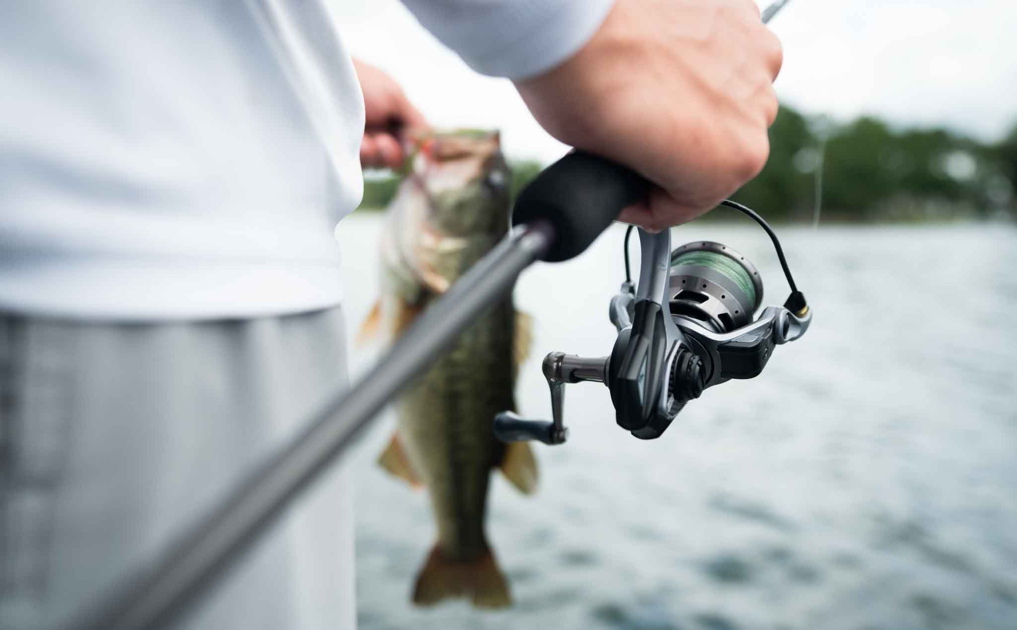 SoftBait Reels, Discount Fishing Supplies