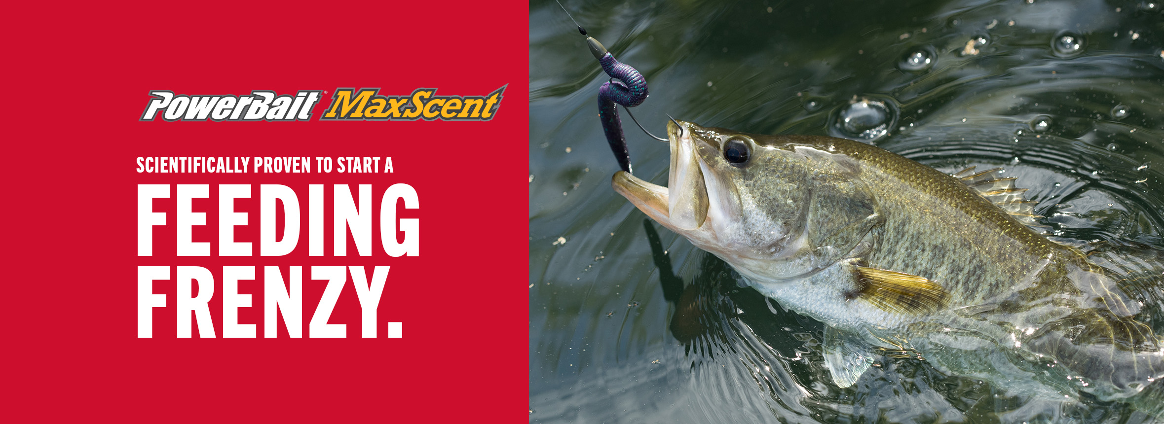 Powerbait Maxscent: Scientifically proven to start a feeding frenzy.