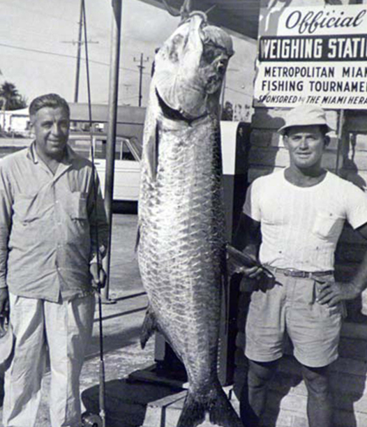 Terminal tackle - Pattaya Fishing