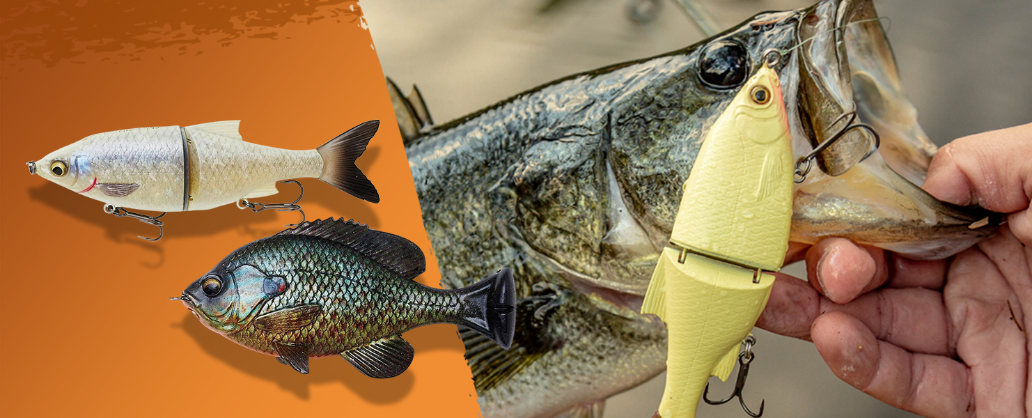 Explore Freshwater and Saltwater Fishing Lures and Rods - Savage