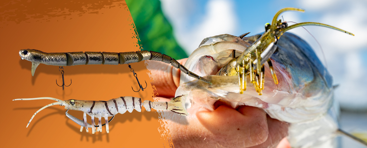 Explore Freshwater and Saltwater Fishing Lures and Rods - Savage Gear US