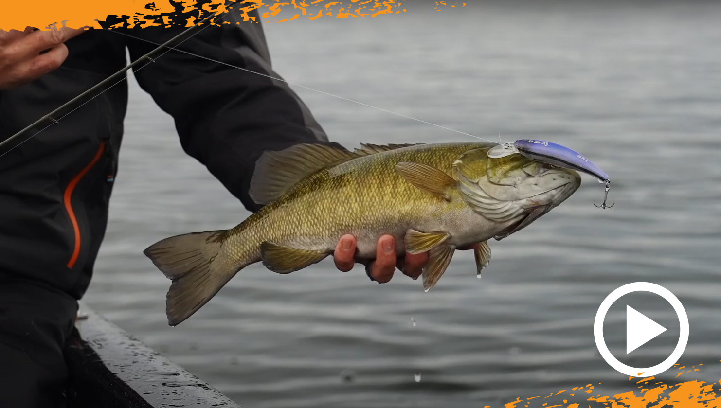 SMALL MOUTH BASS WITH DANNY HERBECK