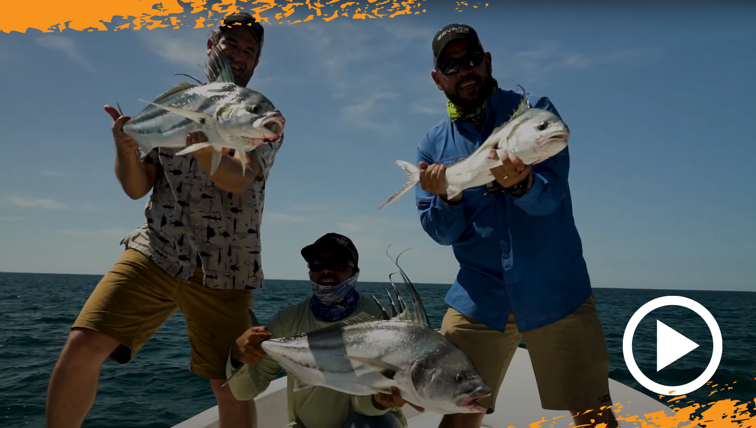MACKSTICK ON ROOSTER FISH IN MEXICO